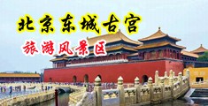 白虎激情操逼中国北京-东城古宫旅游风景区